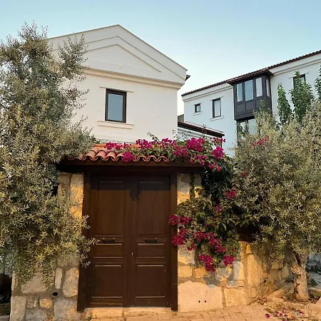 Agon Ephesus * セルチュク