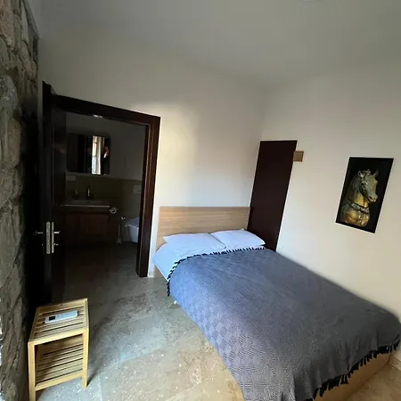 Agon Ephesus セルチュク