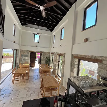 Agon Ephesus Selçuk